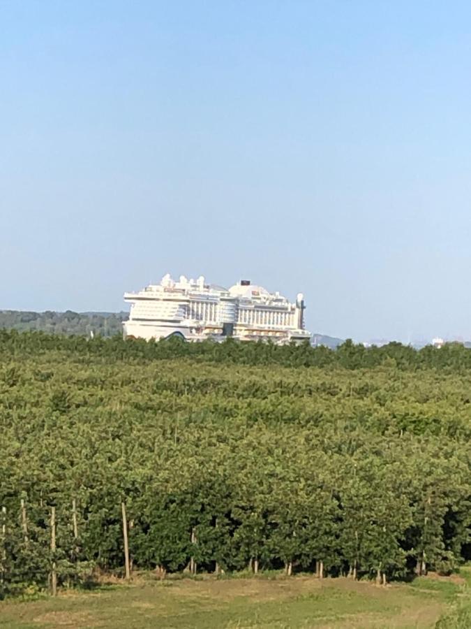 Wohnen Im Alten Land Grünendeich 외부 사진